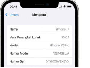 Cek IMEI iPhone