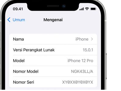Cek IMEI iPhone